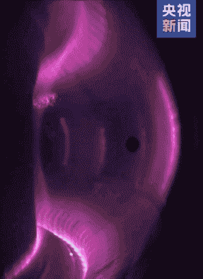 放大招摆脱进口后疯提速国产合金吨级量产PG麻将胡了免费模拟器打脸欧美！中科院(图12)